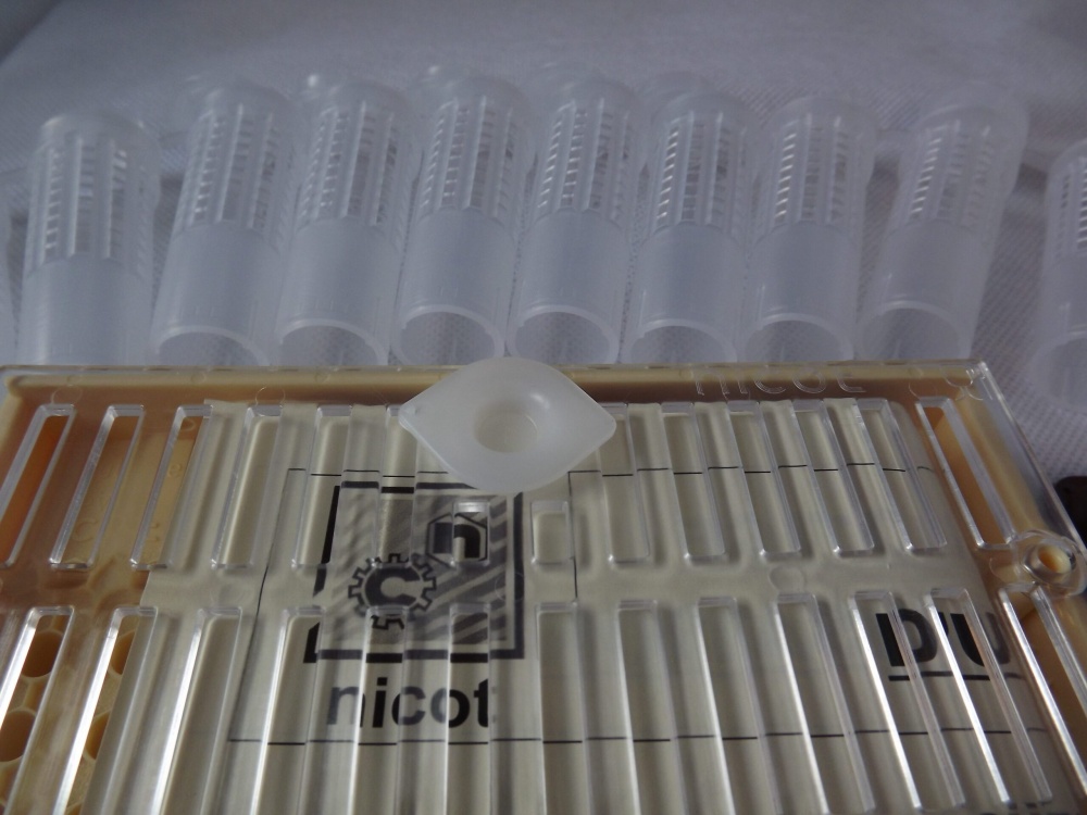 Nicot Queen Rearing Cupkit System